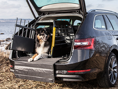 Kleinmetall Hundezubehör Skoda